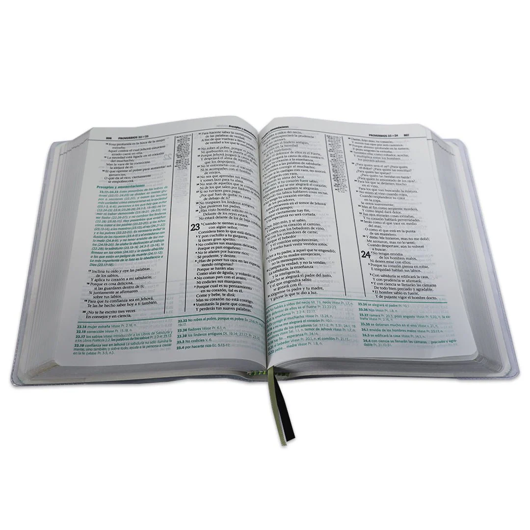 BIBLIA DE ESTUDIO ESQUEMATIZADA RVR1960