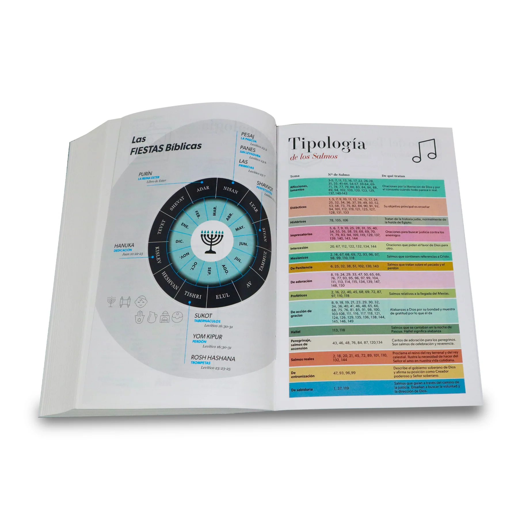 BIBLIA REINA VALERA 1960 GIGANTE LILA/LILA CON FLORES