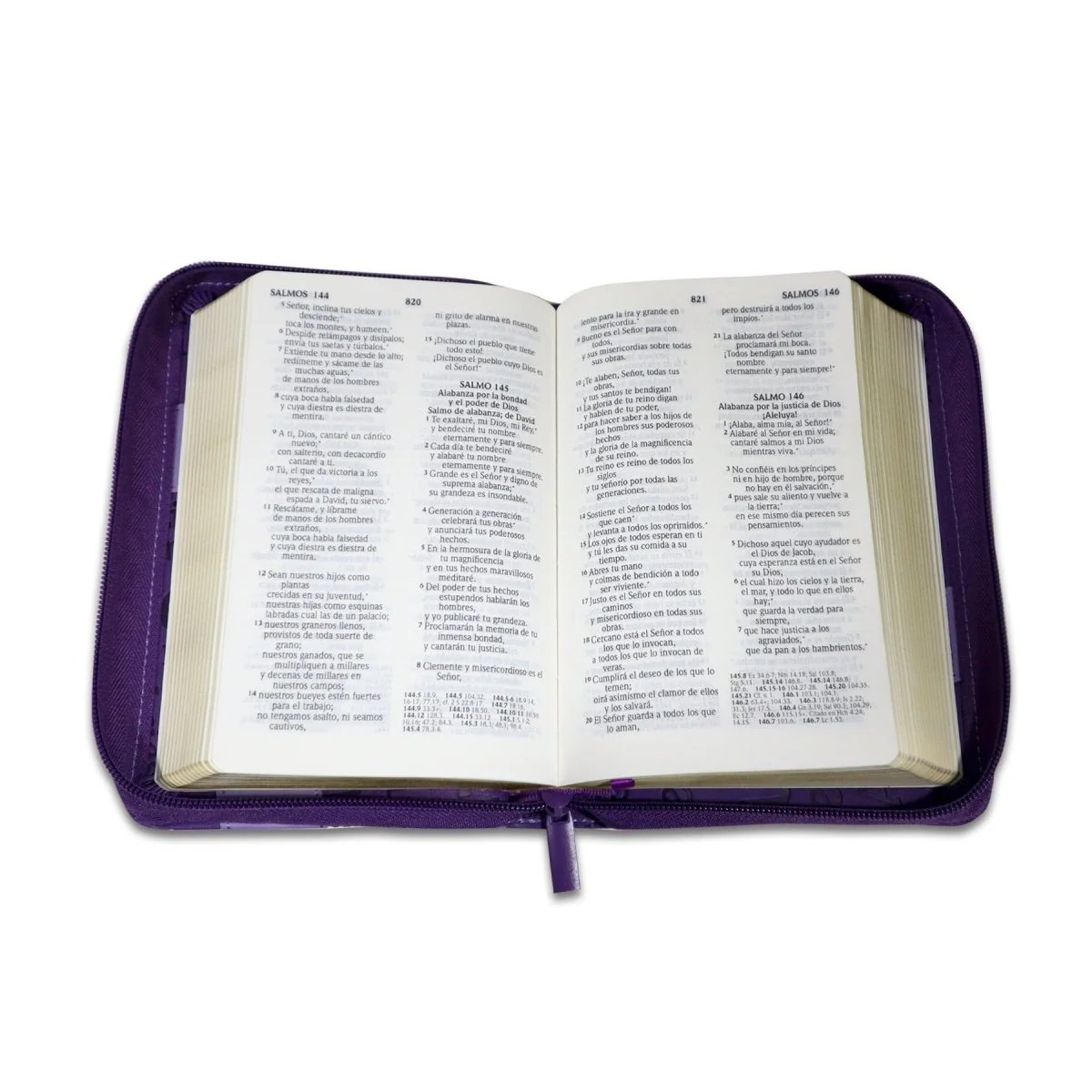 BIBLIA REINA VALERA 2020 LETRA GRANDE C/CIERRE