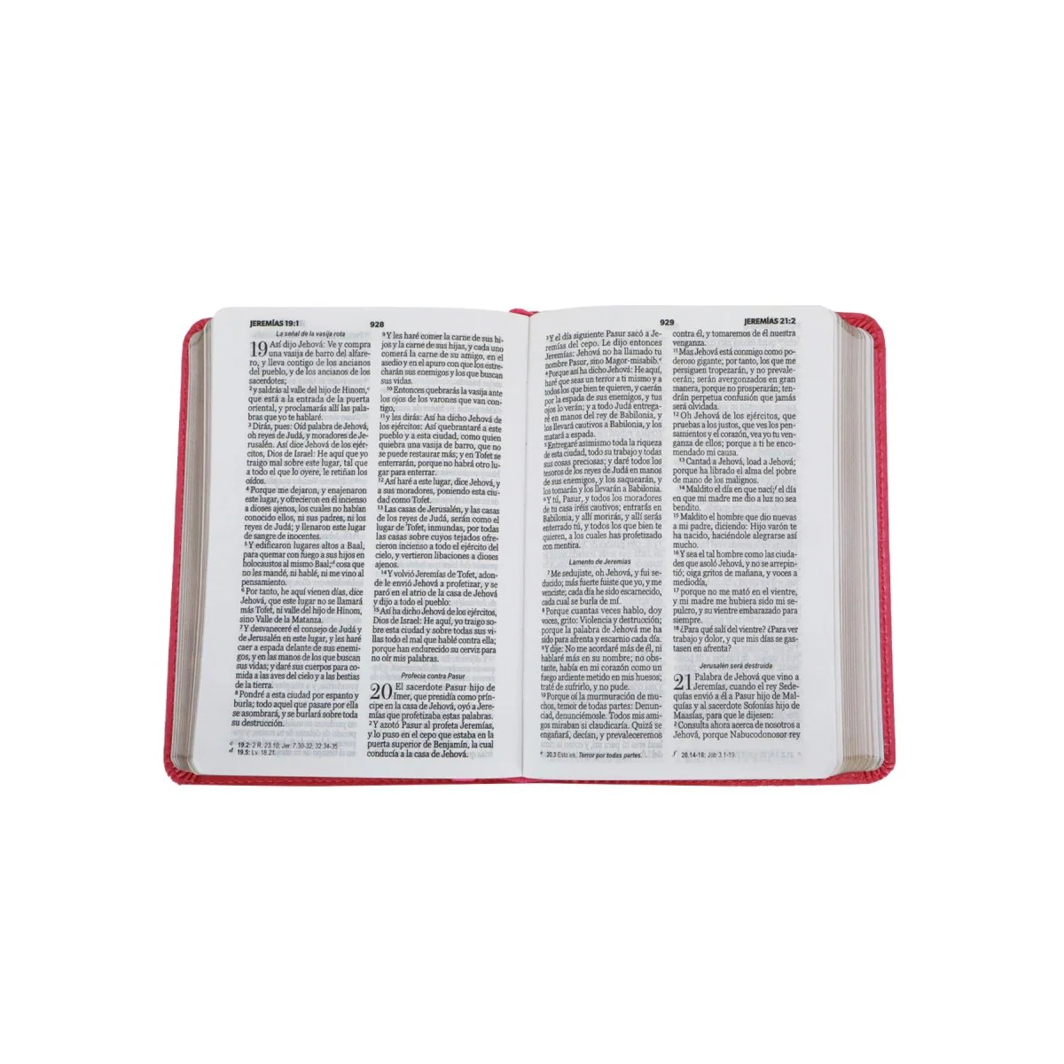 BIBLIA REINA VALERA 1960 TAMAÑO BOLSILLO IMIT PIEL CLASICA FUCSIA