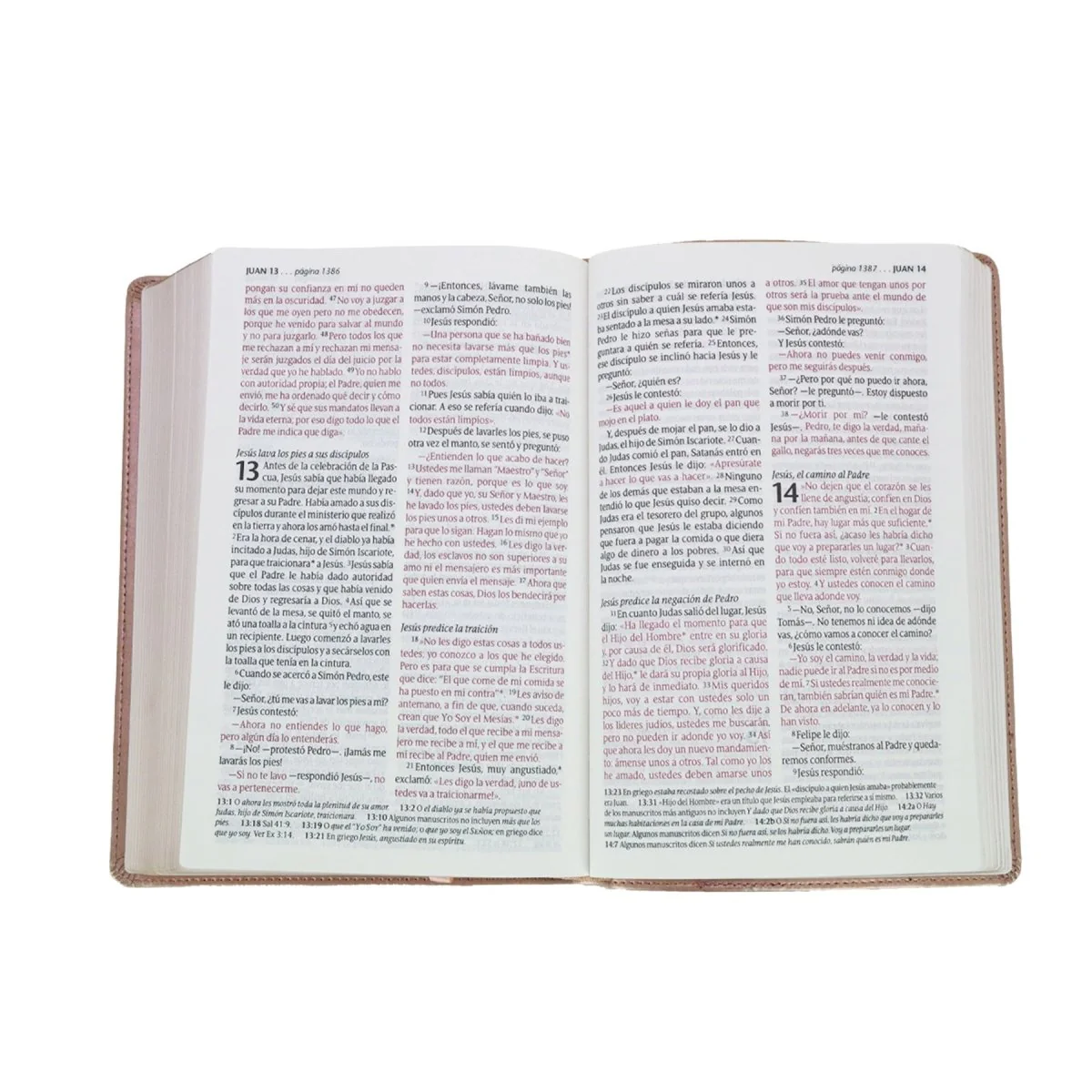BIBLIA NTV EDICIÓN PERSONAL LETRA GRANDE SENTI PIEL/ ROSA METALICO