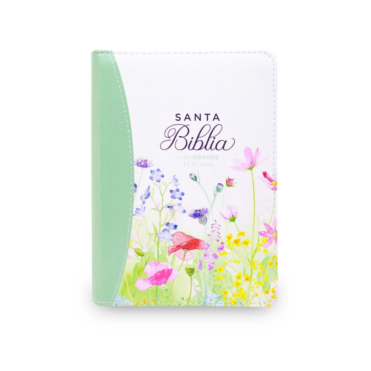 BIBLIA REINA VALERA 1960 LETRA GRANDE COMPACTA CIERRE  CANTO PINTADO