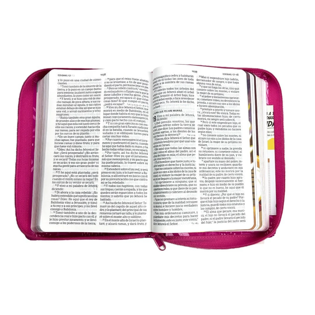 BIBLIA REINA VALERA 1960 INTERACTIVA  LETRA GRANDE C/CIERRE ROSA
