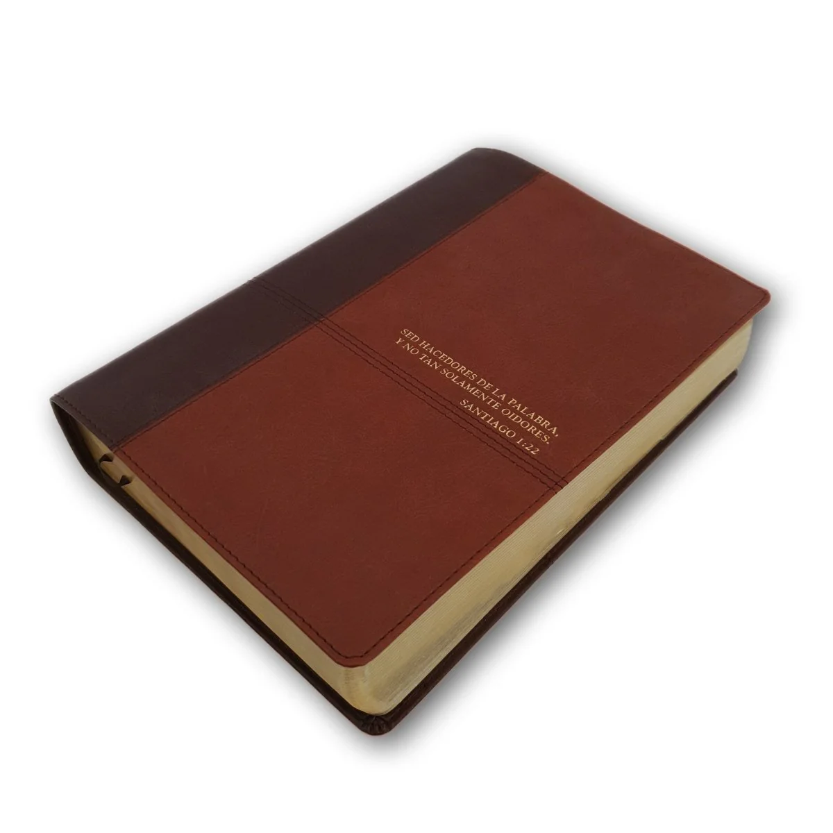 Biblia de estudio Diario Vivir RV60 Sentipiel