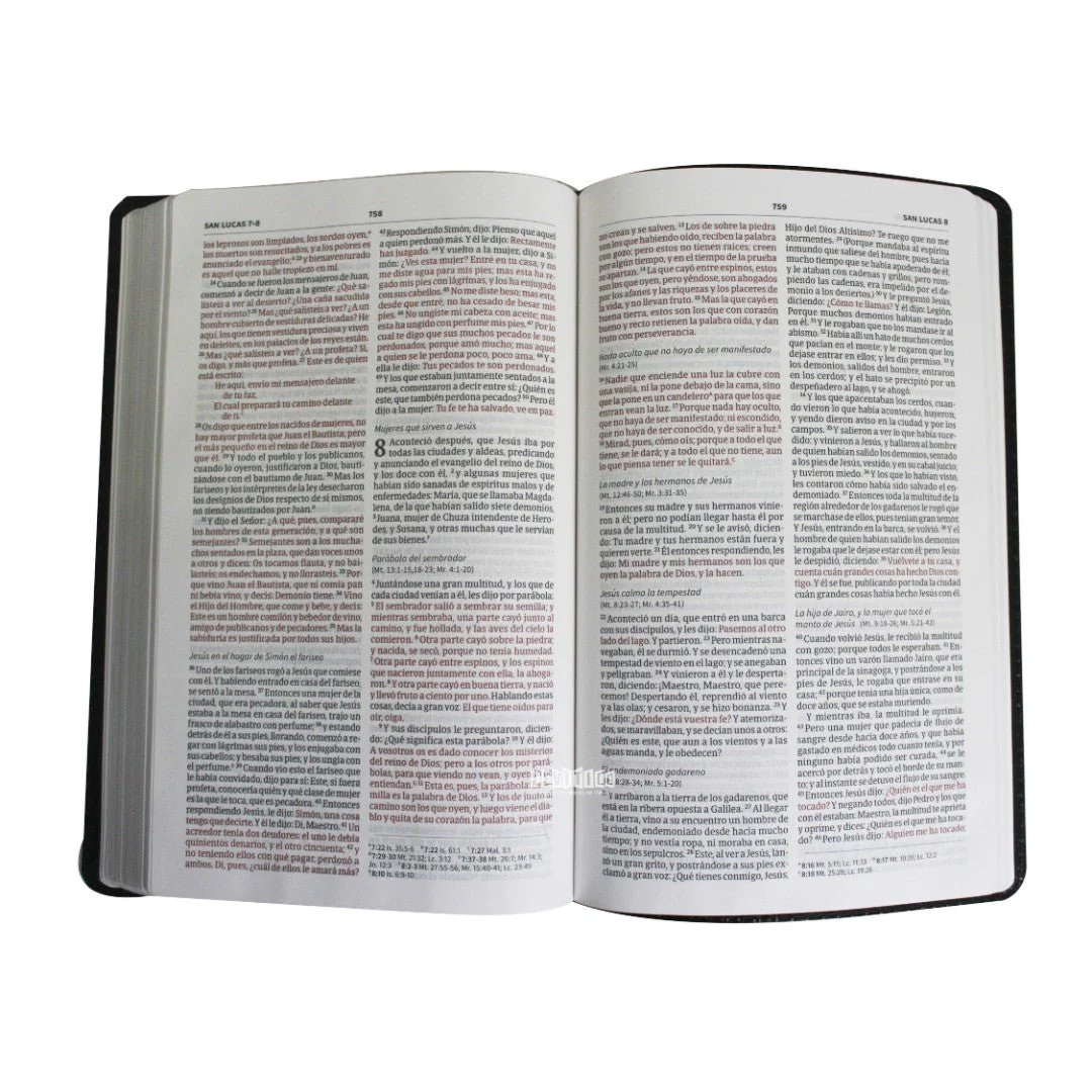 Biblia del Ministro RVR1960