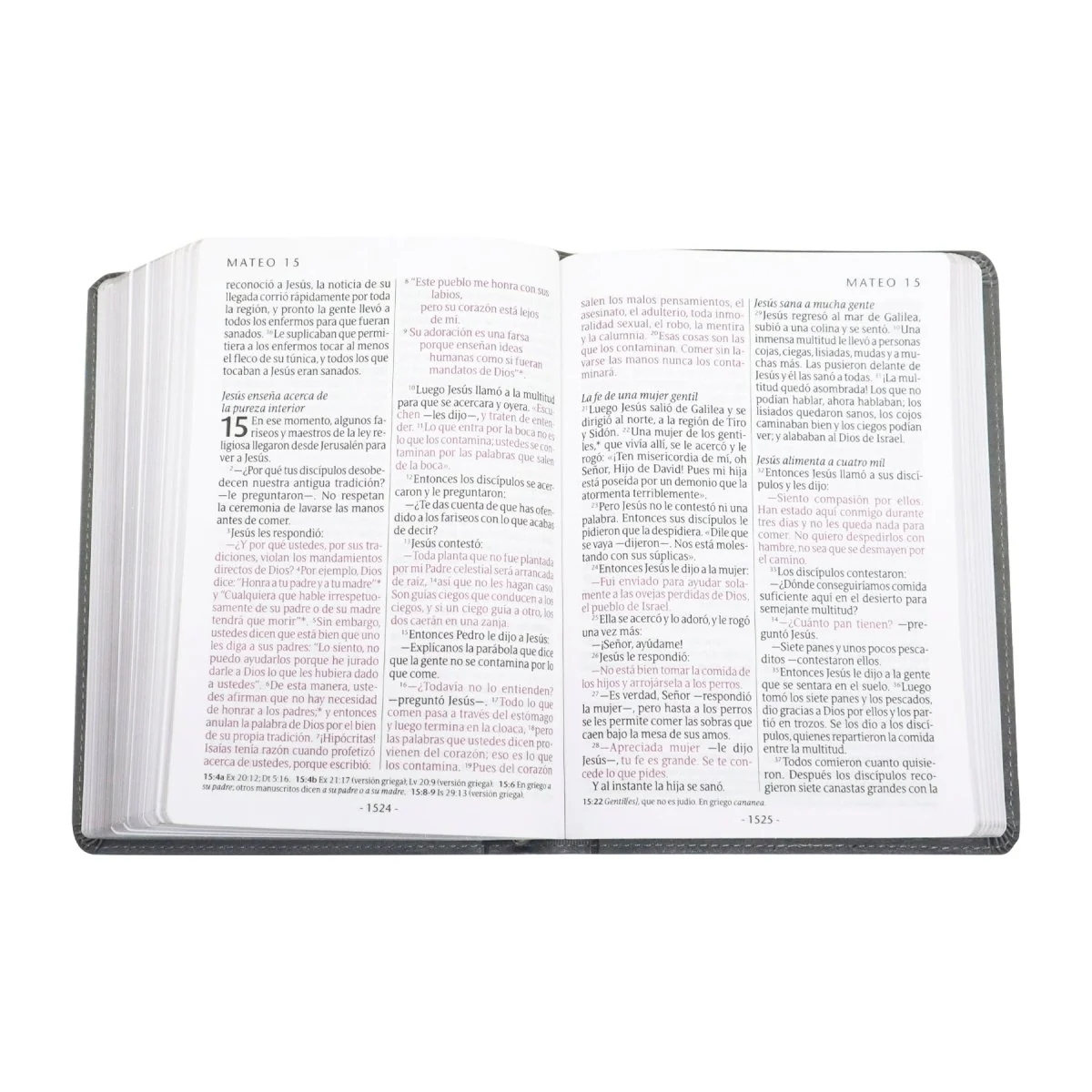BIBLIA NTV LETRA GIGANTE TAMAÑO MANUAL SENTIPIEL GRIS