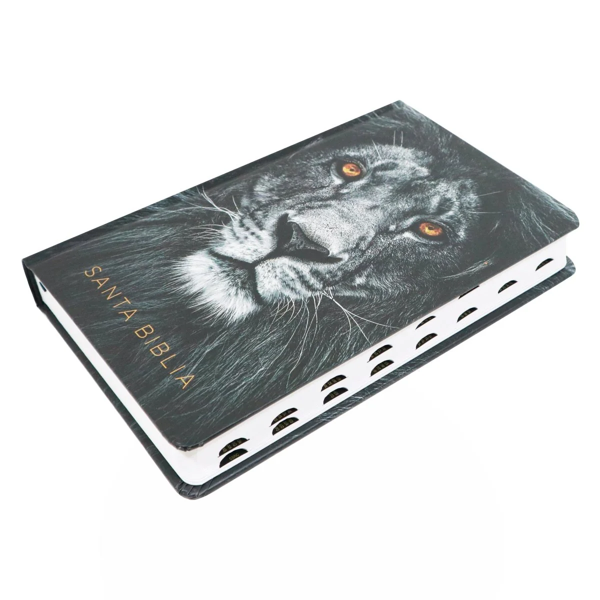 BIBLIA REINA VALERA 1960 LETRA GRANDE LEON DE JUDA/INDICE