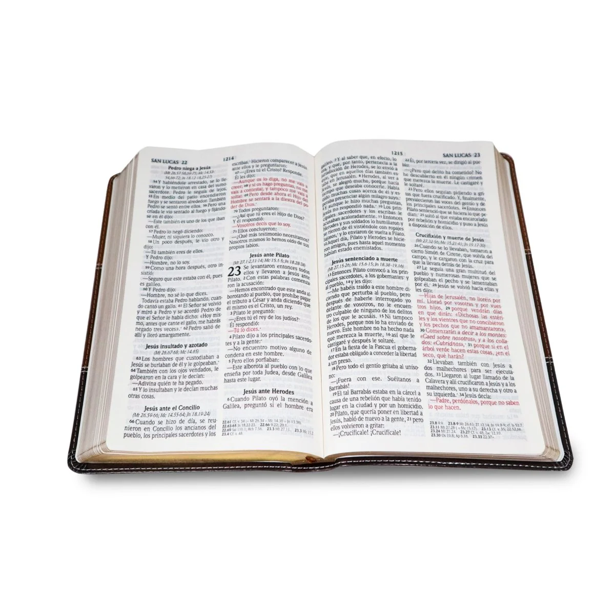 SANTA BIBLIA REINA VALERA 2020       (4 colores)