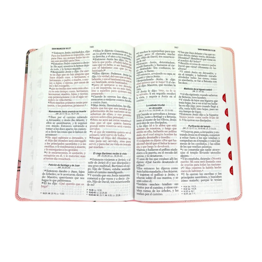 BIBLIA REINA VALERA 1960 LETRA GRANDE MANUAL ROSA CON FLORES INDICE