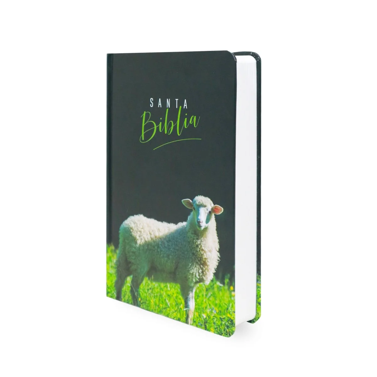 BIBLIA REINA VALERA 1960  CON LOS NOMBRES DE DIOS CORDERO TAPA DURA