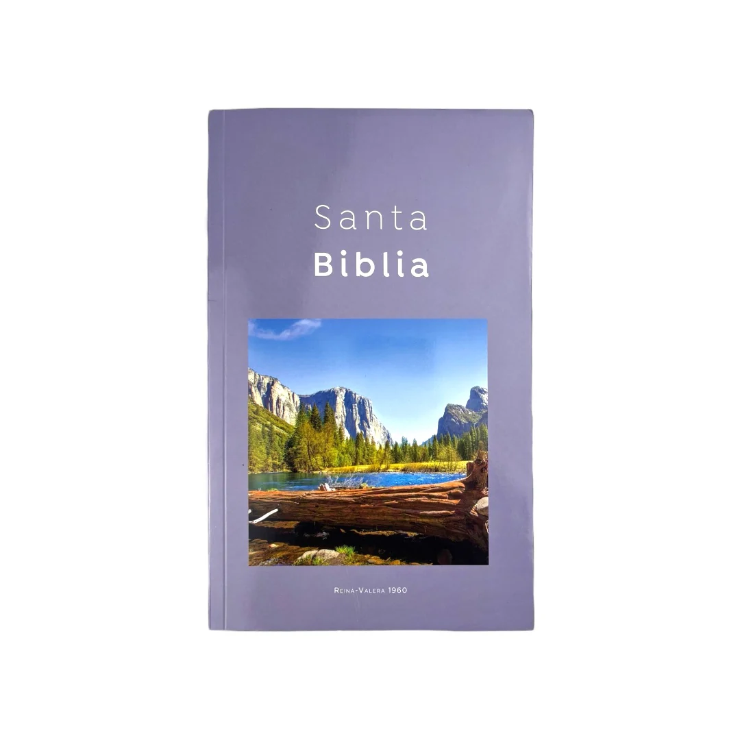 BIBLIA REINA VALERA 1960 ECONOMICA RUSTICA DISEÑOS