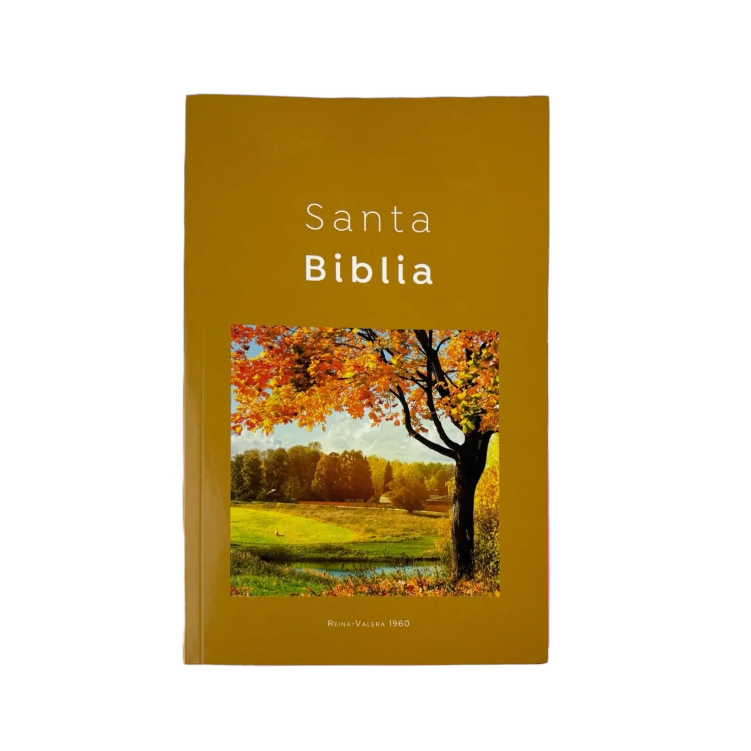 BIBLIA REINA VALERA 1960 ECONOMICA RUSTICA DISEÑOS