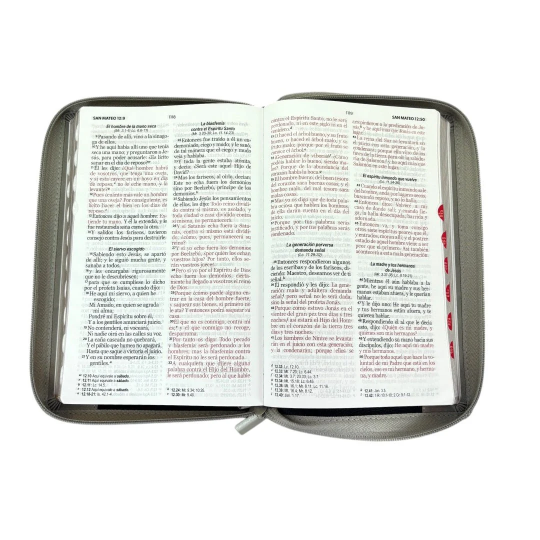 BIBLIA LETRA GRANDE REINA VALERA 1960 MANUAL LEÓN NEGRO/ GRIS CIERRE