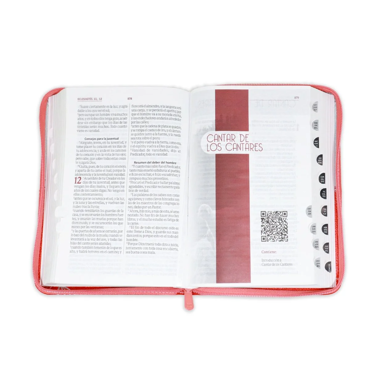 BIBLIA REINA VALERA 1960 LETRA GRANDE ESPIGA ROJO PLATEADO C/CIERRE