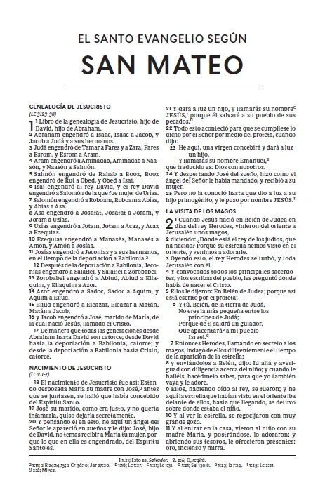 BIBLIA HOLMAN REINA VALERA 1960 ECONOMICA AZUL TAPA RUSTICA