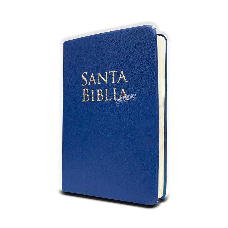 Biblia Reina Valera 1960  Letra Grande Tamaño Manual c/Referencias vinil