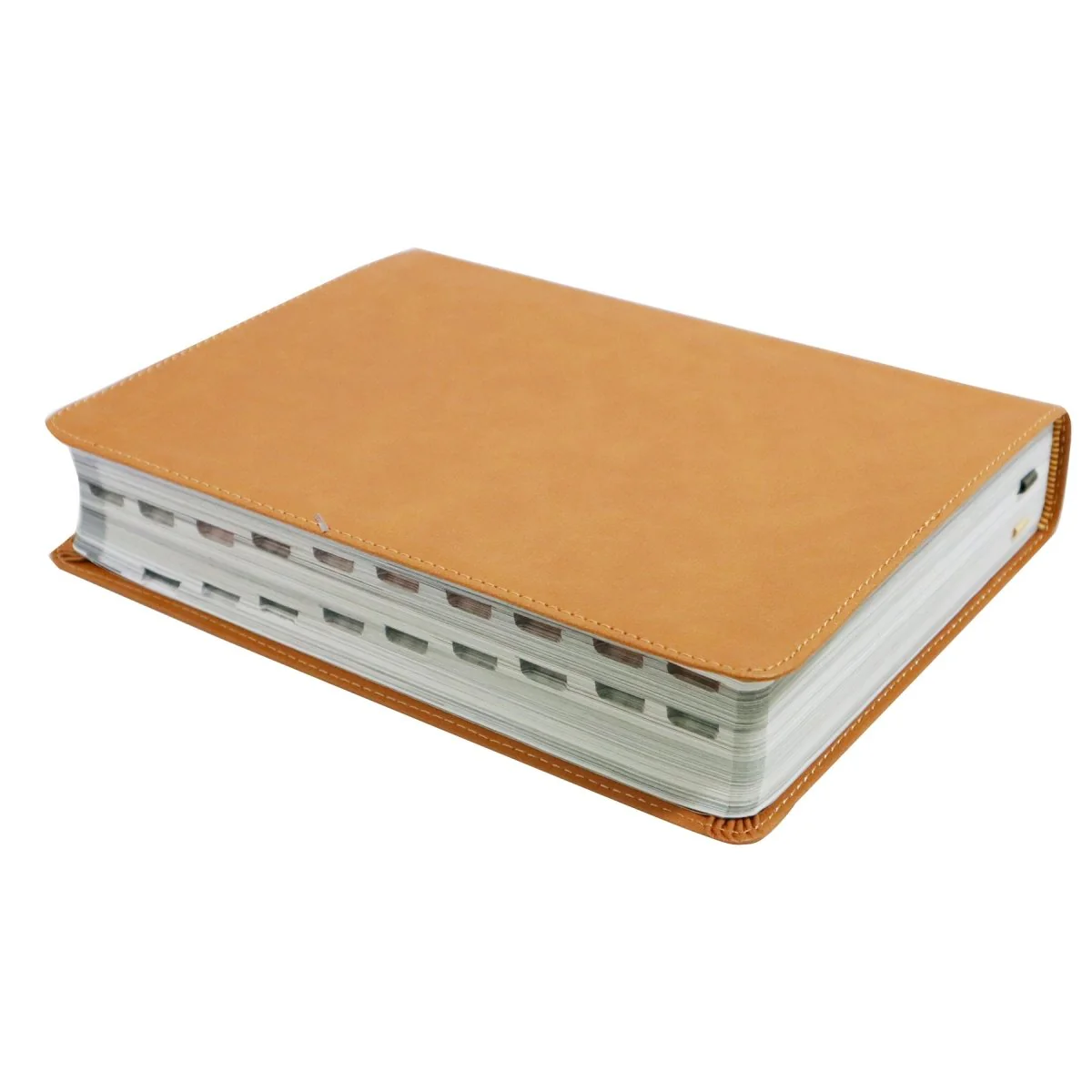 BIBLIA ILUSTRADA DE LA TIERRA SANTA  RVR1960, IMITACIÓN PIEL/CAFE CLARO