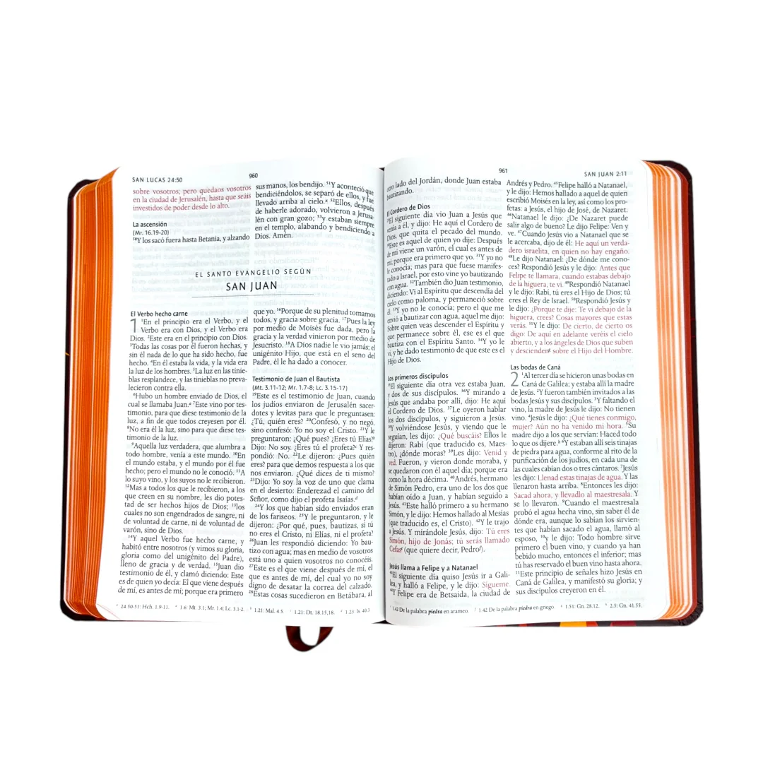 BIBLIA REINA VALERA 1960 LETRA GRANDE TAPA DURA LEÓN DE JUDA MARRÓN