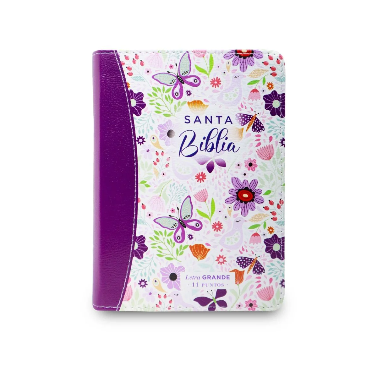 BIBLIA REINA VALERA 1960 LETRA GRANDE COMPACTA/ CANTO PINTADO