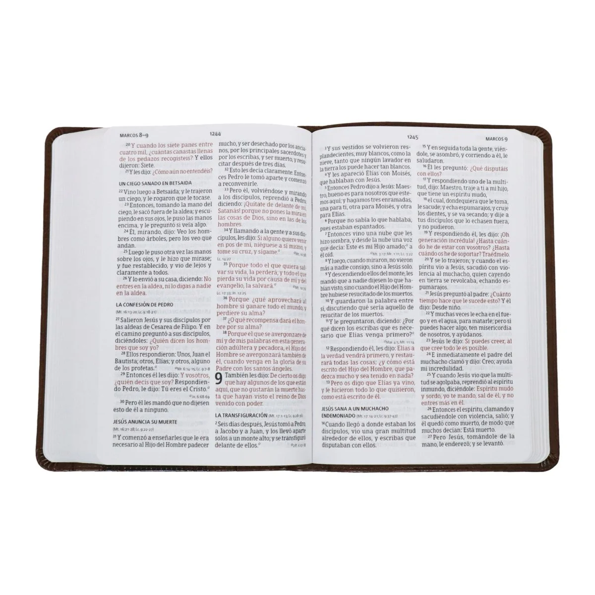 BIBLIA REINA VALERA 1960 LETRA GRANDE MANUAL EDICION ESPECIAL SIMIL PIEL MARRON