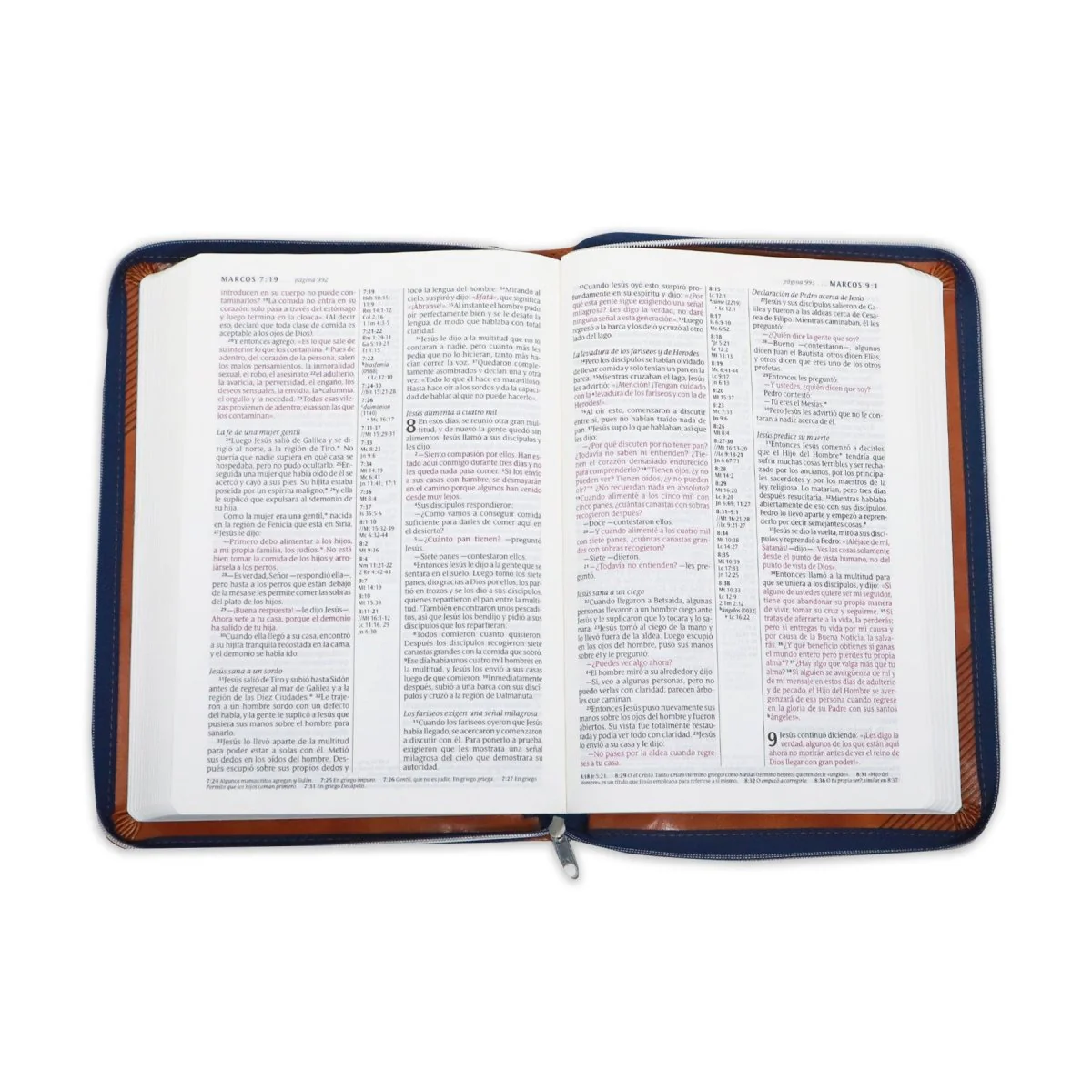 BIBLIA NTV LETRA GRANDE EDICIÓN ZIPER  SENTIPIEL CAFE