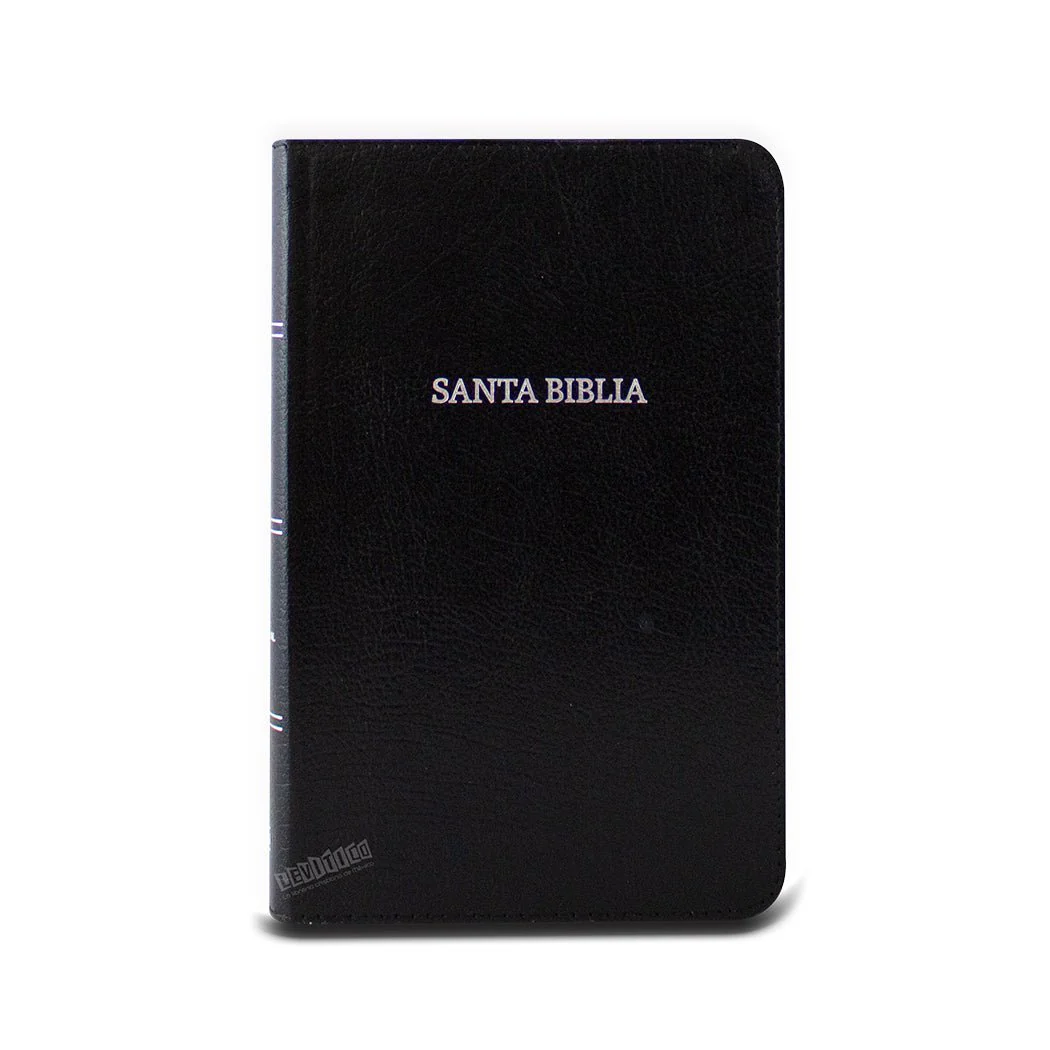 Biblia NVI Compacta Letra Grande, Piel fabricada