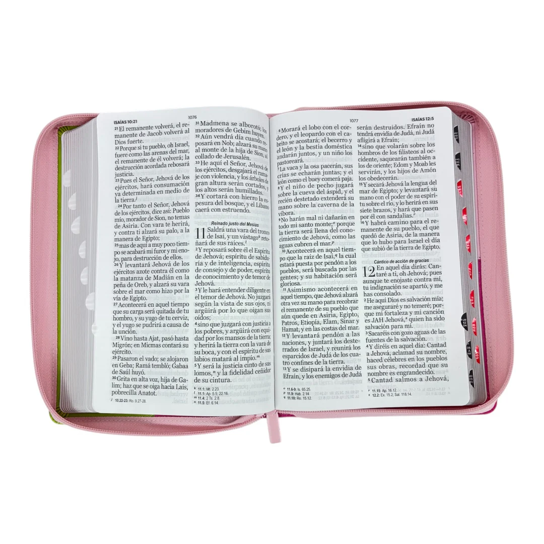 BIBLIA REINA VALERA 1960 LETRA GIGANTE IMITACION PIEL ICONIC C/CIERRE INDICE