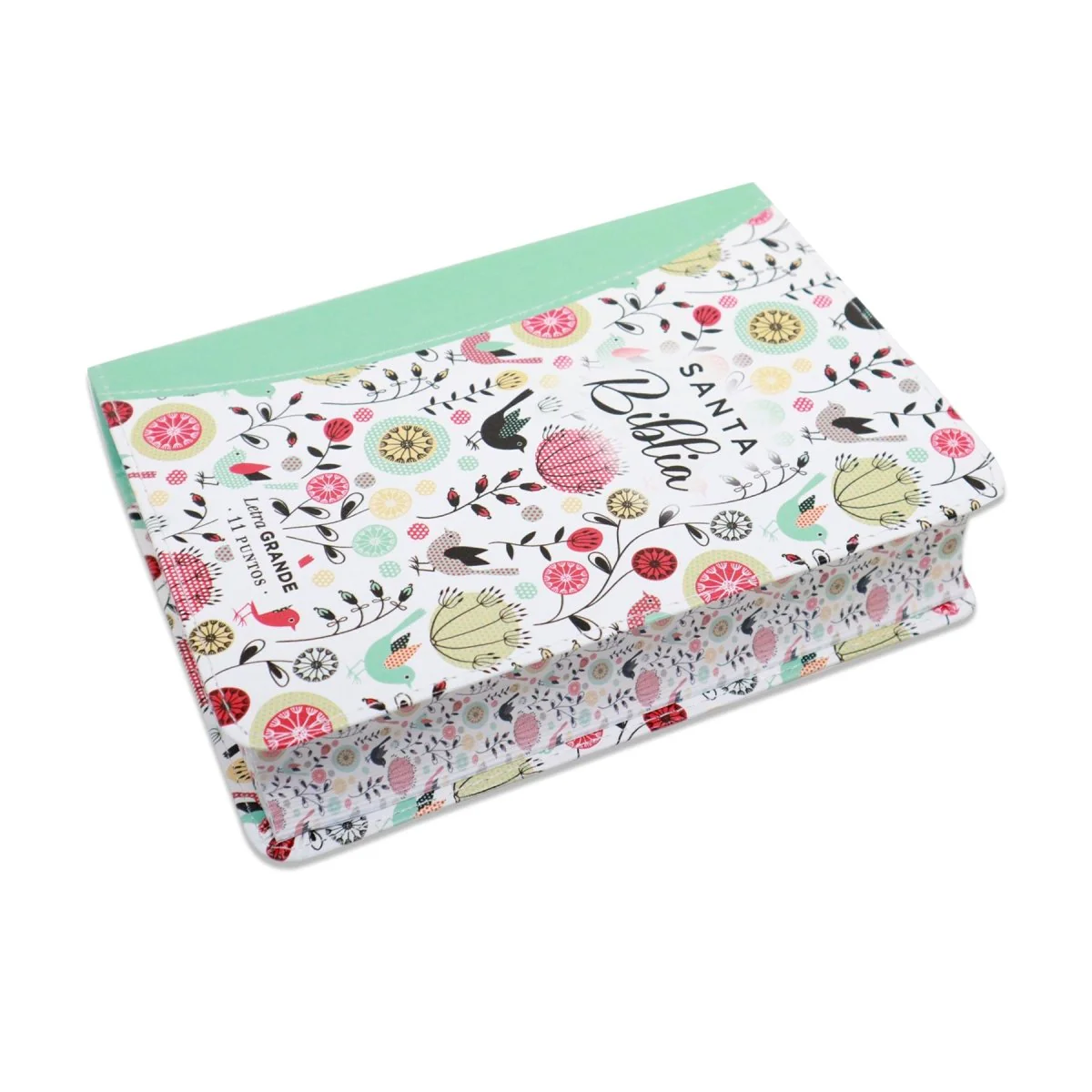 BIBLIA REINA VALERA 1960 LETRA GRANDE COMPACTA/ CANTO PINTADO