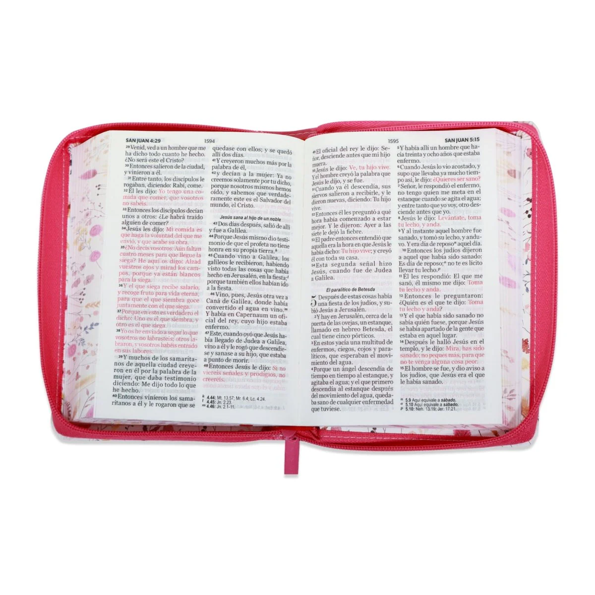 BIBLIA REINA VALERA 1960 LETRA GRANDE COMPACTA CIERRE  CANTO PINTADO