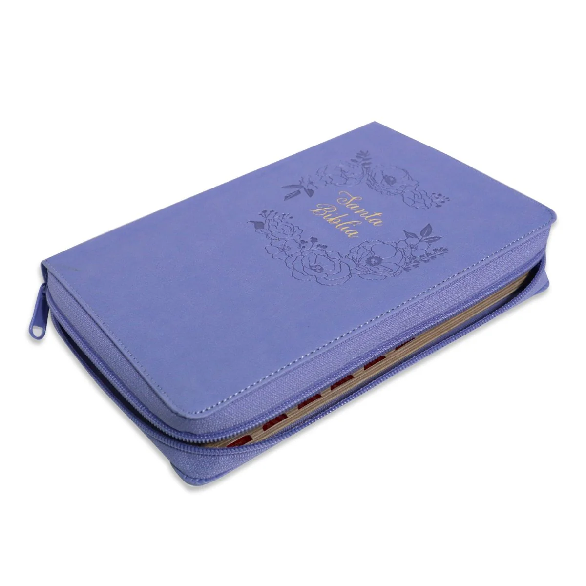 BIBLIA REINA VALERA 1960 TAMAÑO MANUAL LETRA GRANDE EDICIÓN LIMITADA (2TONOS)