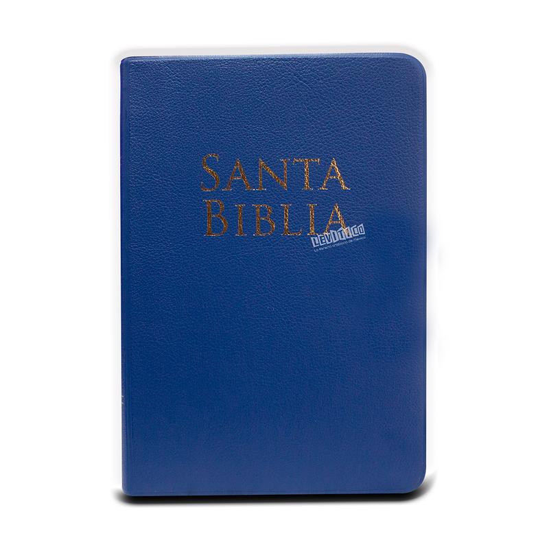 Biblia Reina Valera 1960  Letra Grande Tamaño Manual c/Referencias vinil