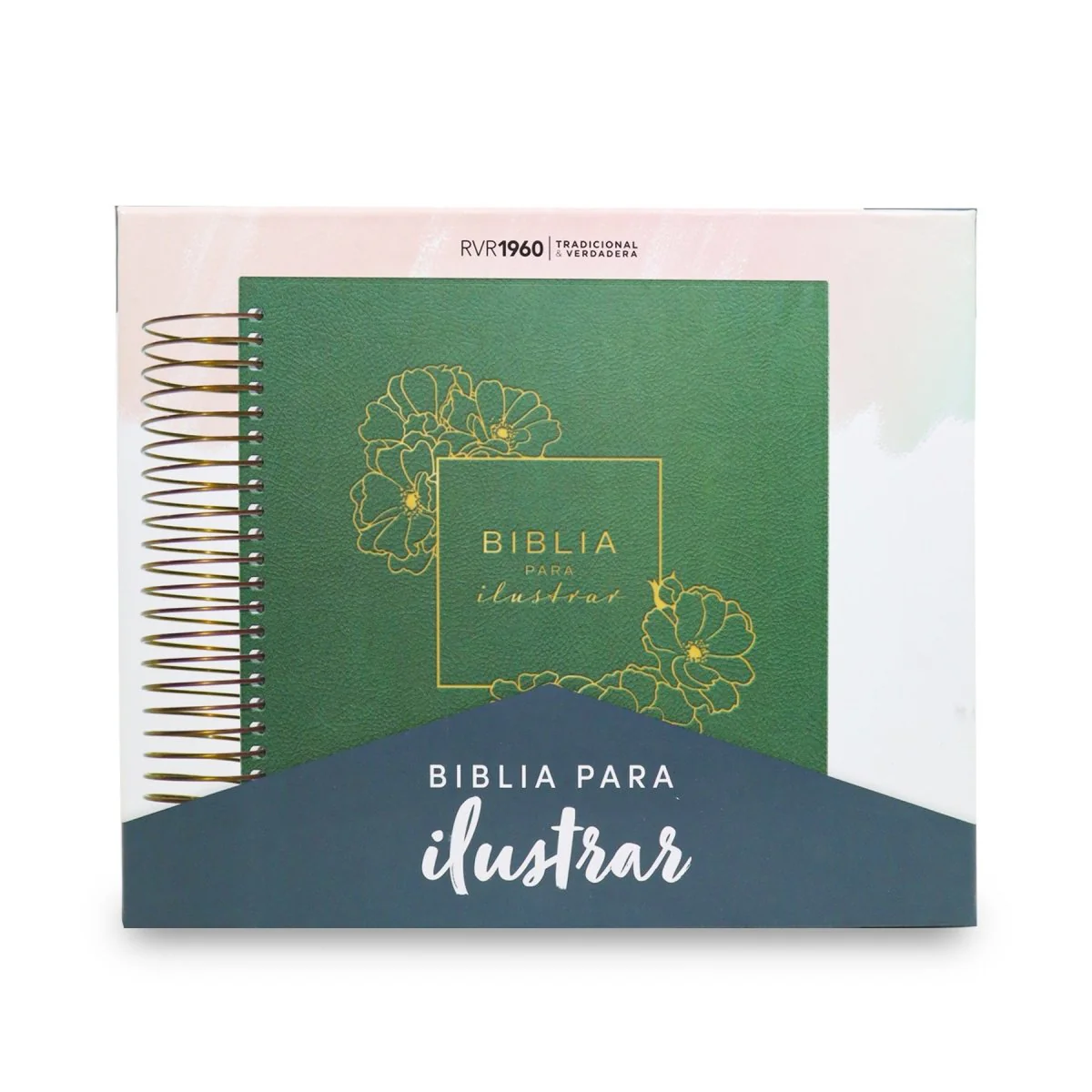 BIBLIA PARA ILUSTRAR SIMIL PIEL VERDE REINA VALERA 1960