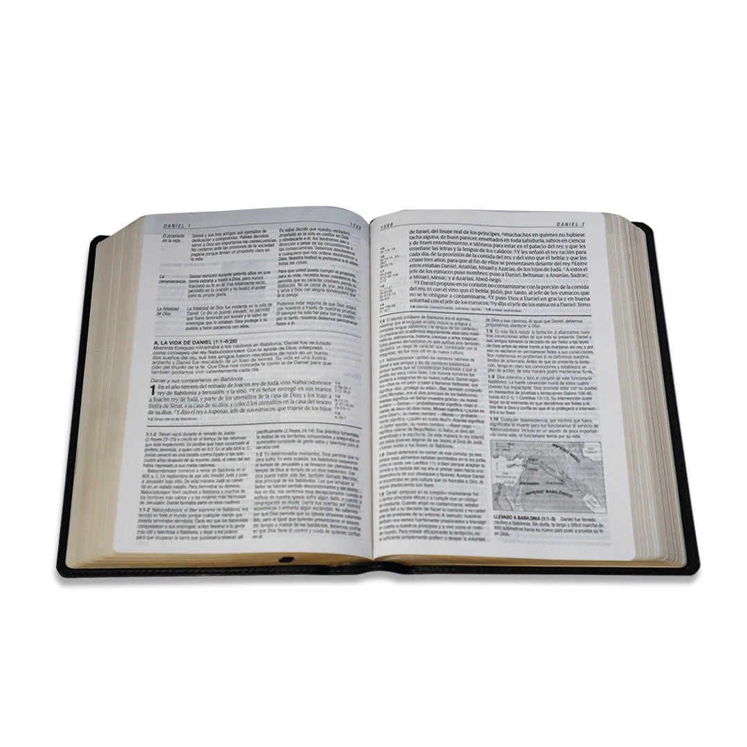 BIBLIA DE ESTUDIO RV1960 DIARIO VIVIR