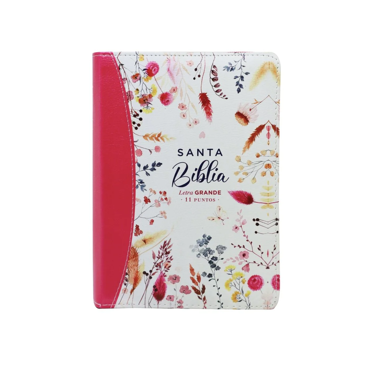 BIBLIA REINA VALERA 1960 LETRA GRANDE COMPACTA CIERRE  CANTO PINTADO