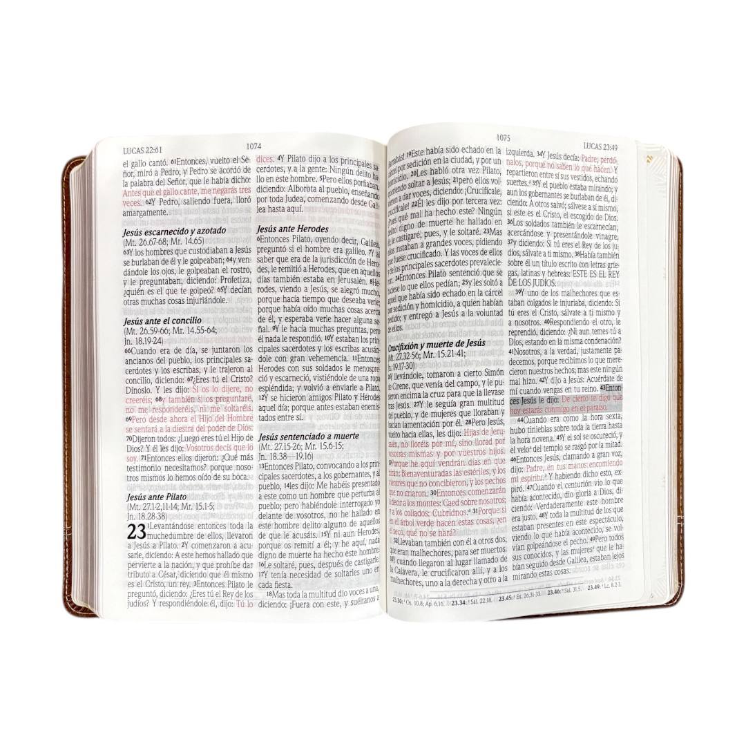 BIBLIA DE PROMESAS REINA VALERA 1960 JESÚS PARA TODOS