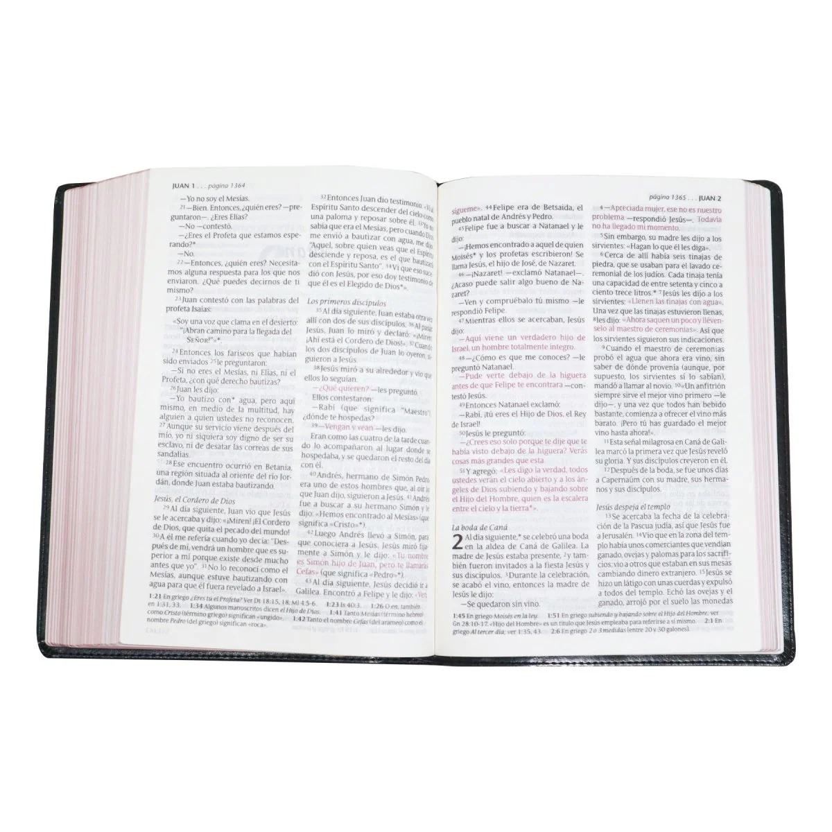 BIBLIA NTV  LETRA GIGANTE SENTIPIEL CLASICA/ NEGRO