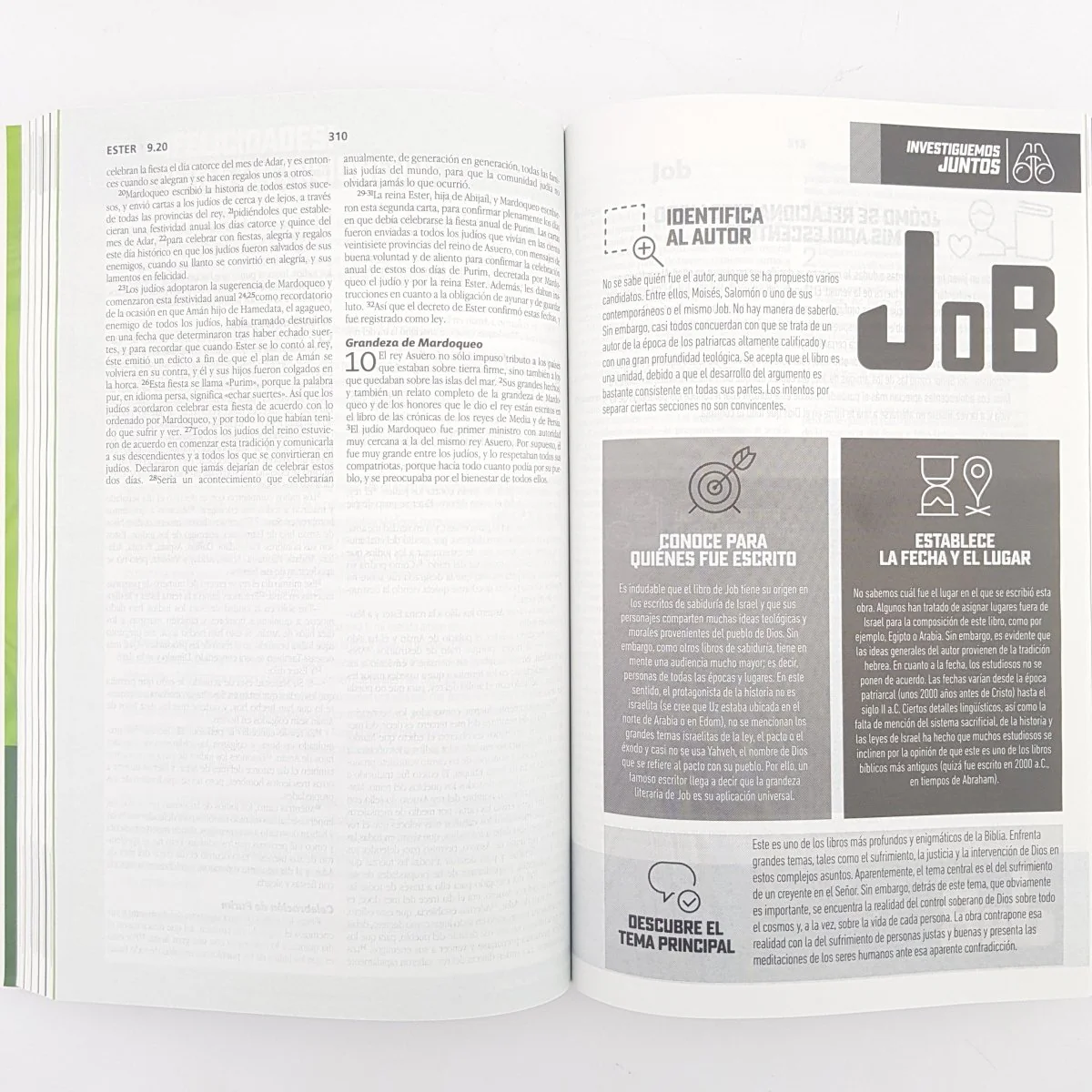 Biblia para Líderes de Adolescentes