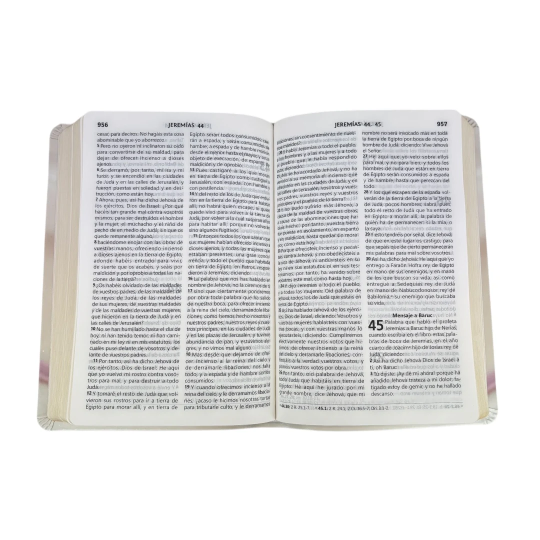 BIBLIA REINA VALERA 1960 LETRA GRANDE BODA VINIL ANILLOS