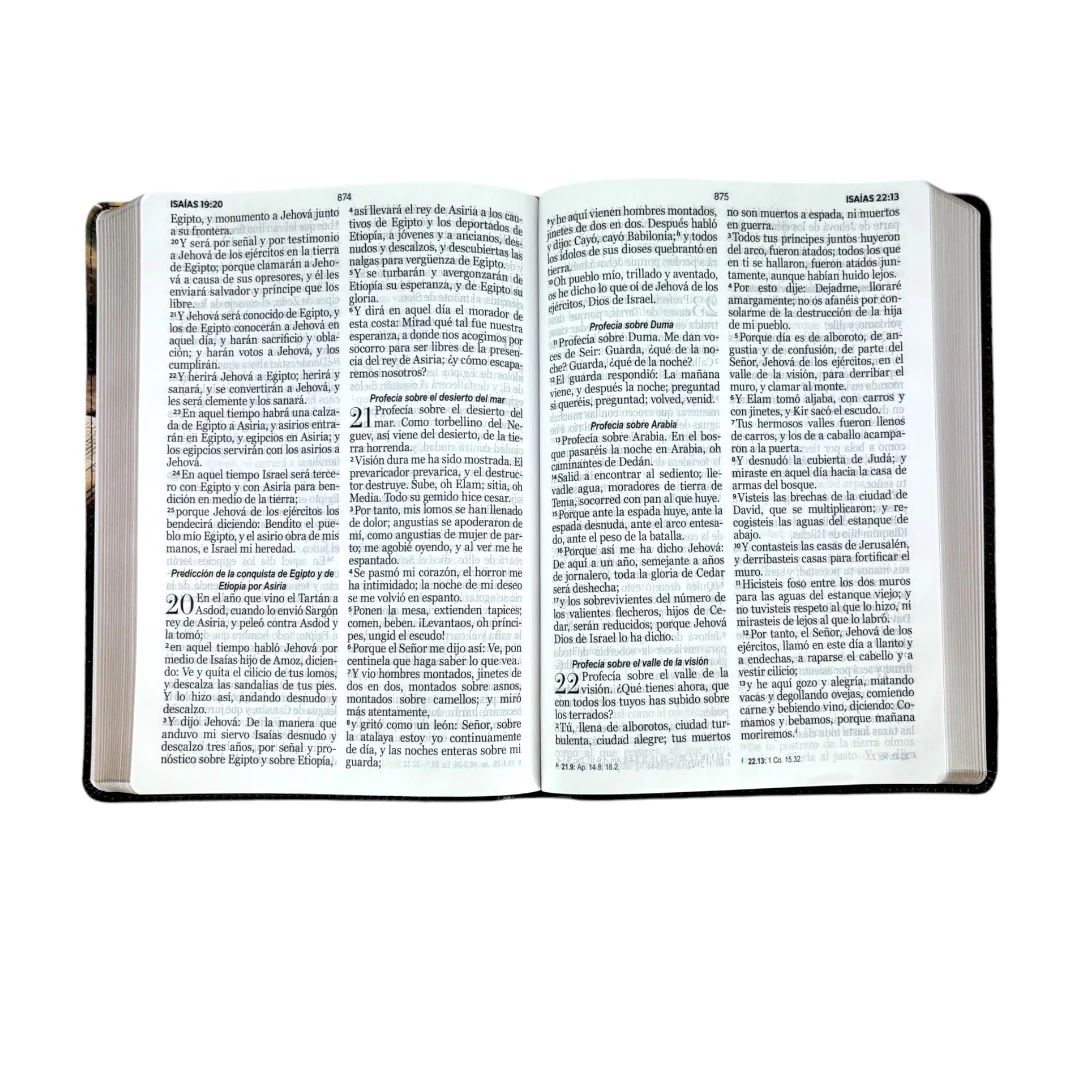 BIBLIA REINA VALERA 1960 LETRA GIGANTE IMITACION  PIEL BARCO