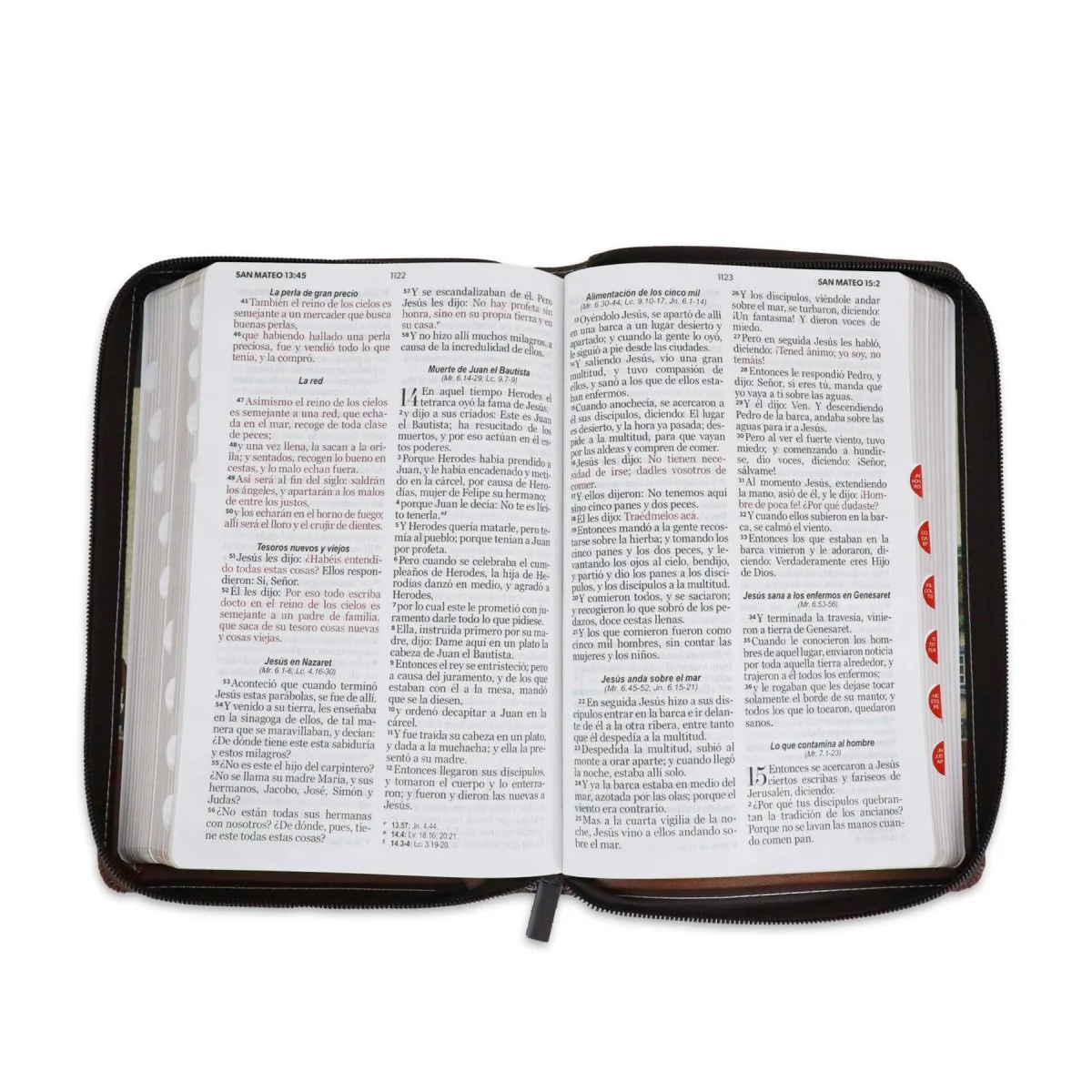 BIBLIA REINA VALERA 1960 LETRA GRANDE MANUAL C/CIERRE FANTASÍA CAFE