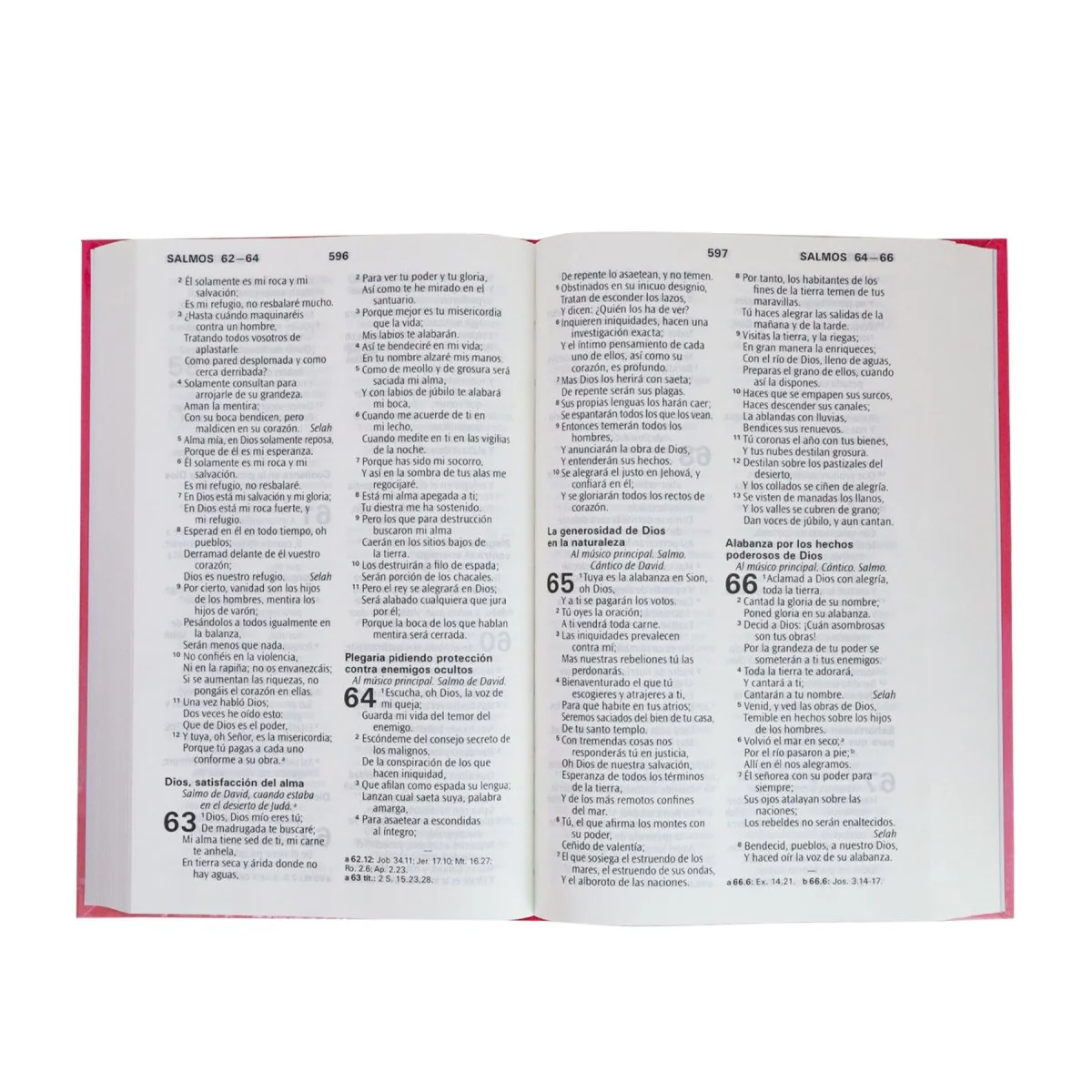 BIBLIA REINA VALERA 1960 MANUAL LETRA GRANDE TAPA DURA ROSA