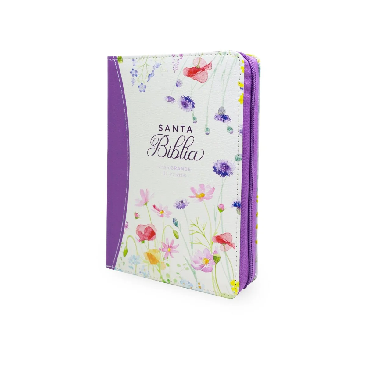 BIBLIA REINA VALERA 1960 LETRA GRANDE COMPACTA CIERRE  CANTO PINTADO