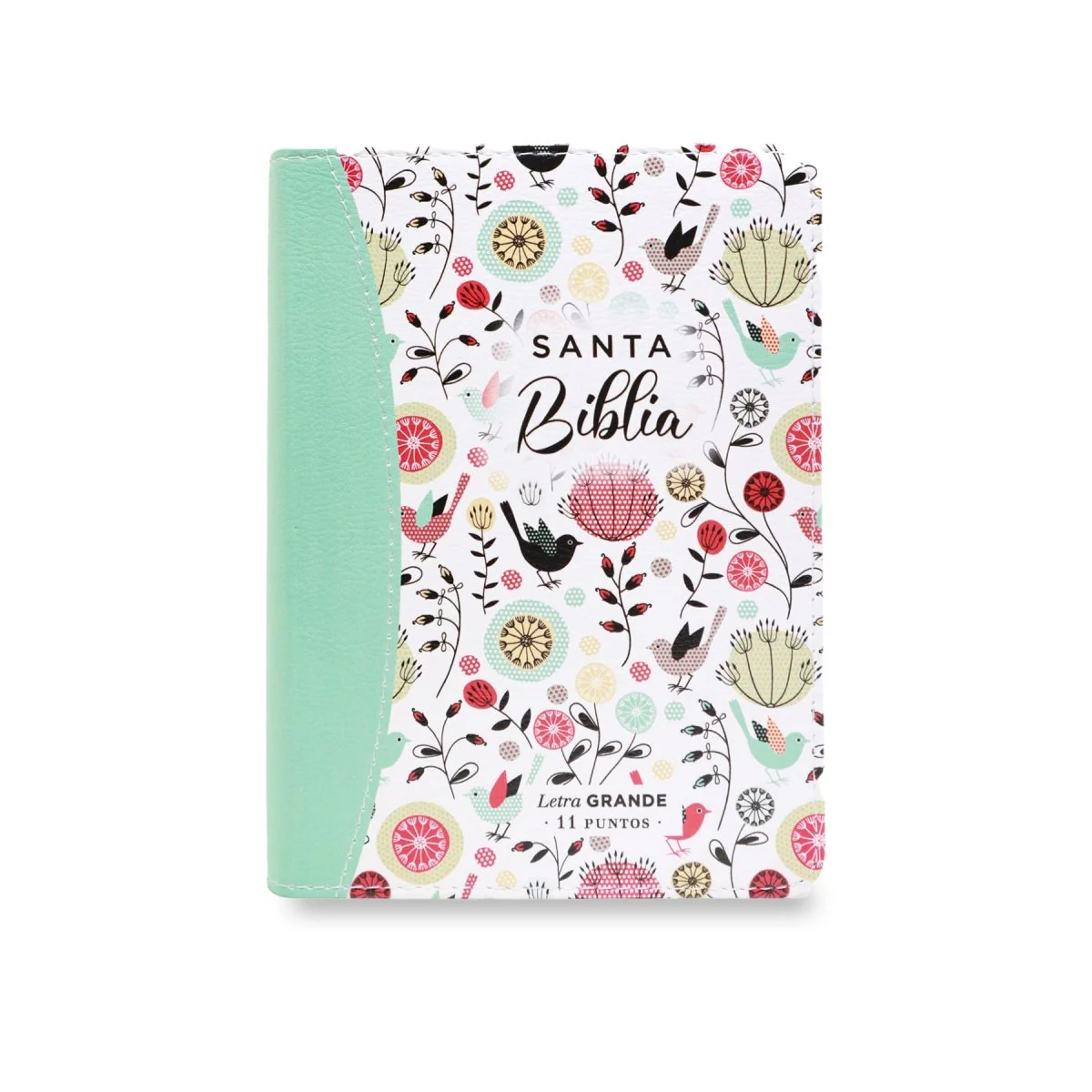 BIBLIA REINA VALERA 1960 LETRA GRANDE COMPACTA/ CANTO PINTADO