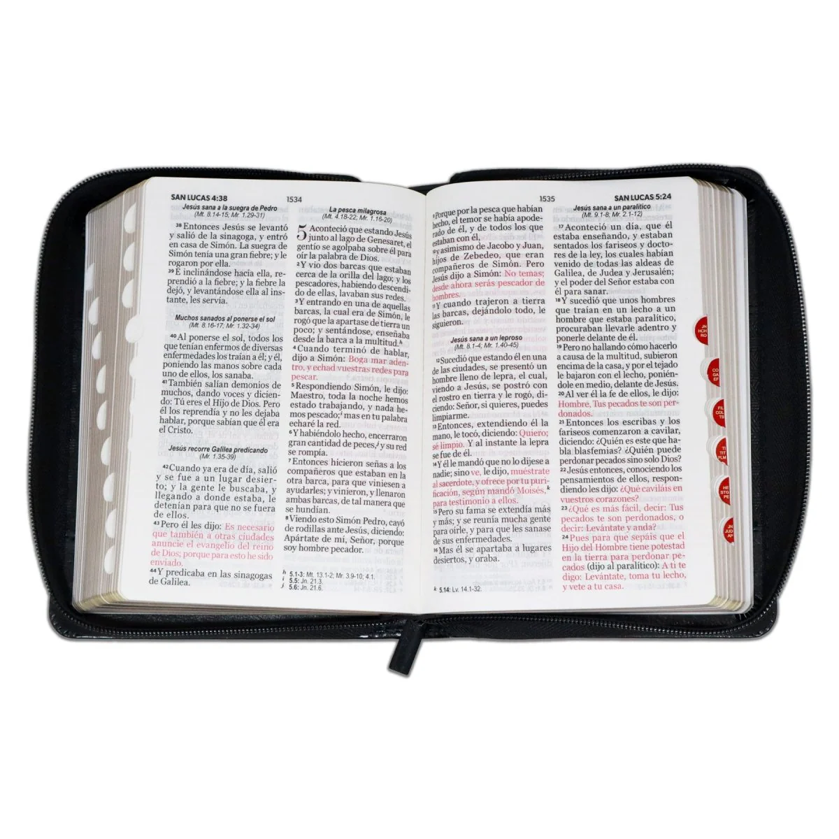 BIBLIA REINA VALERA 1960 LETRA GRANDE COMPACTA LEÓN NEGRO