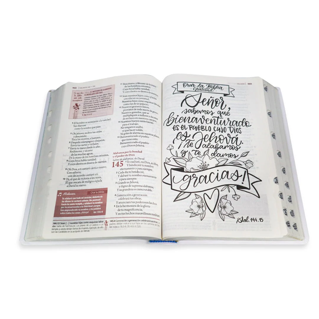 BIBLIA DE ESTUDIO RV1960 SER MUJER LETRA GRANDE/INDICE