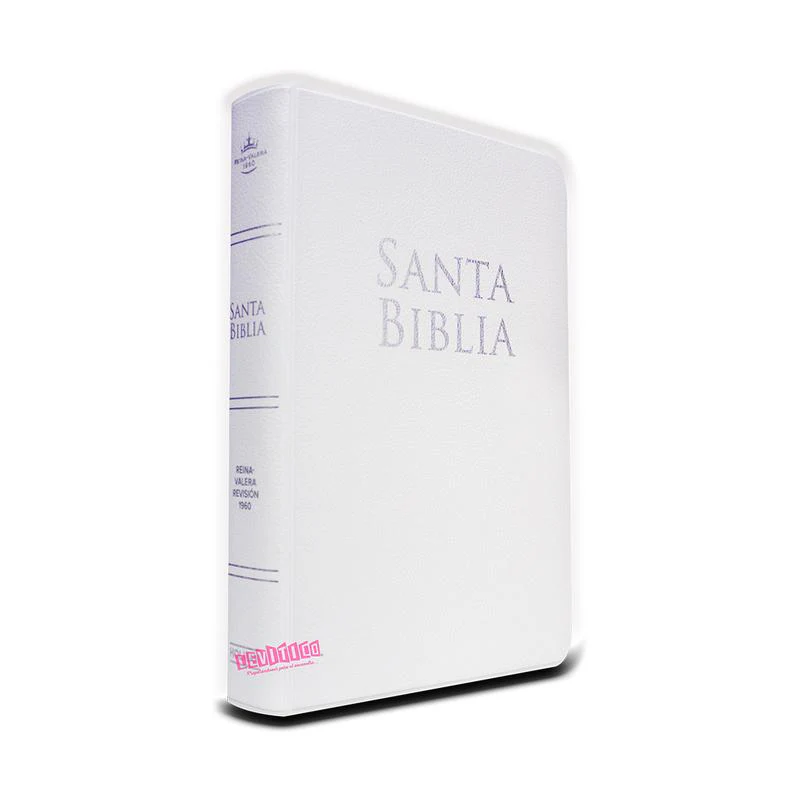 Biblia Reina Valera 1960  Letra Grande Tamaño Manual c/Referencias vinil