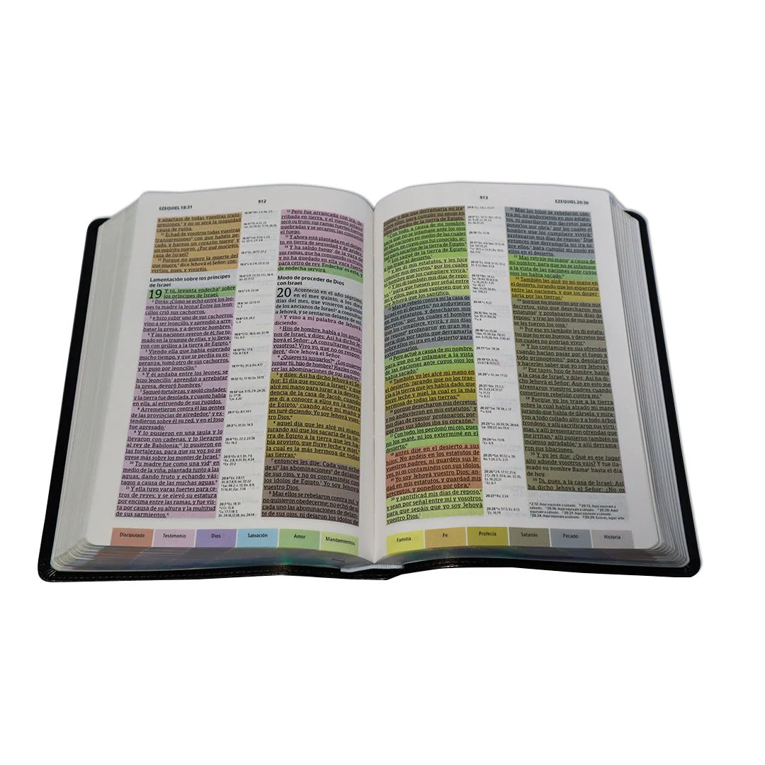 BIBLIA DE ESTUDIO ARCOIRIS RVR1960 NEGRO SIMIL PIEL