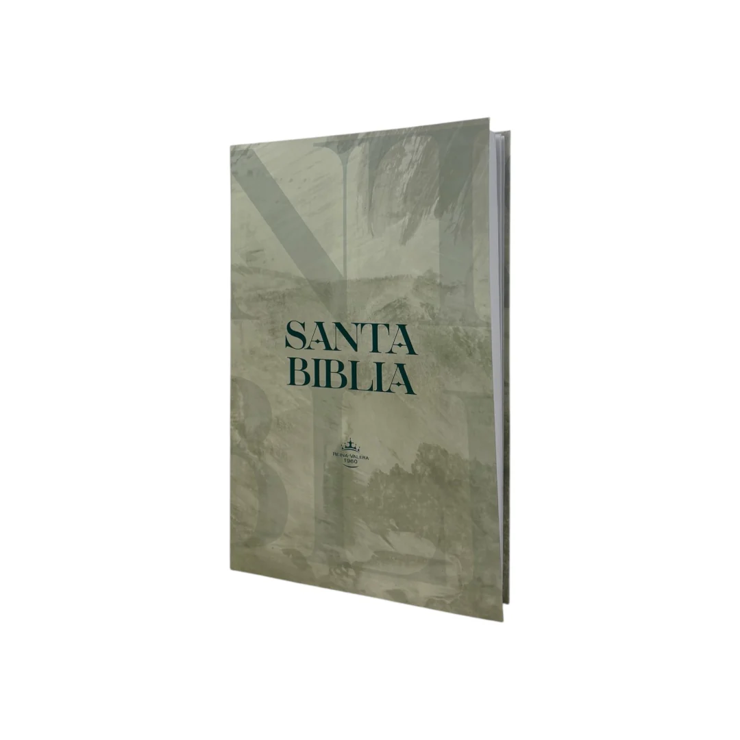 biblia reina valera 1960 letra mediana tapa flexible gris