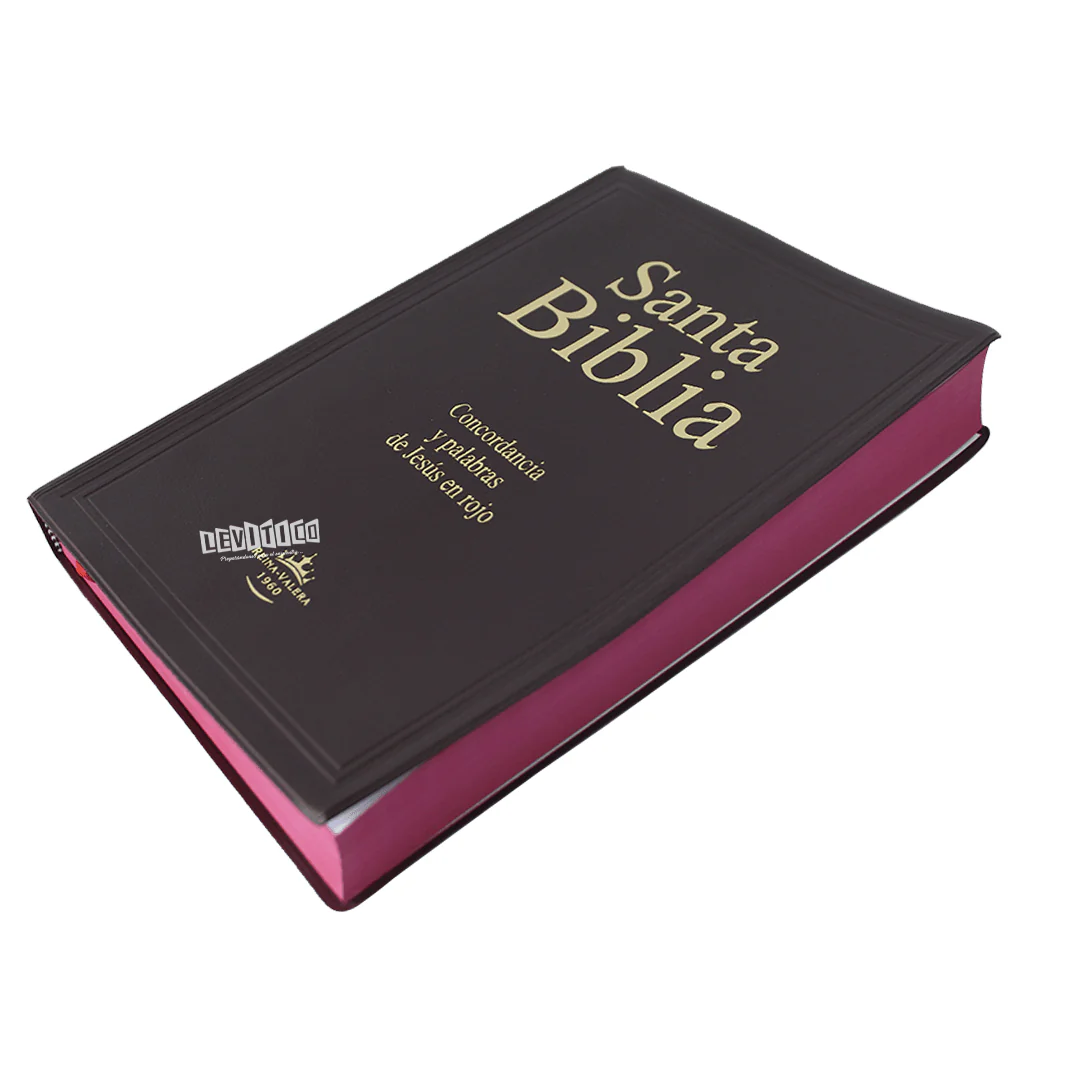 Santa Biblia RVR 1960 Letra Gigante Vinil Colores
