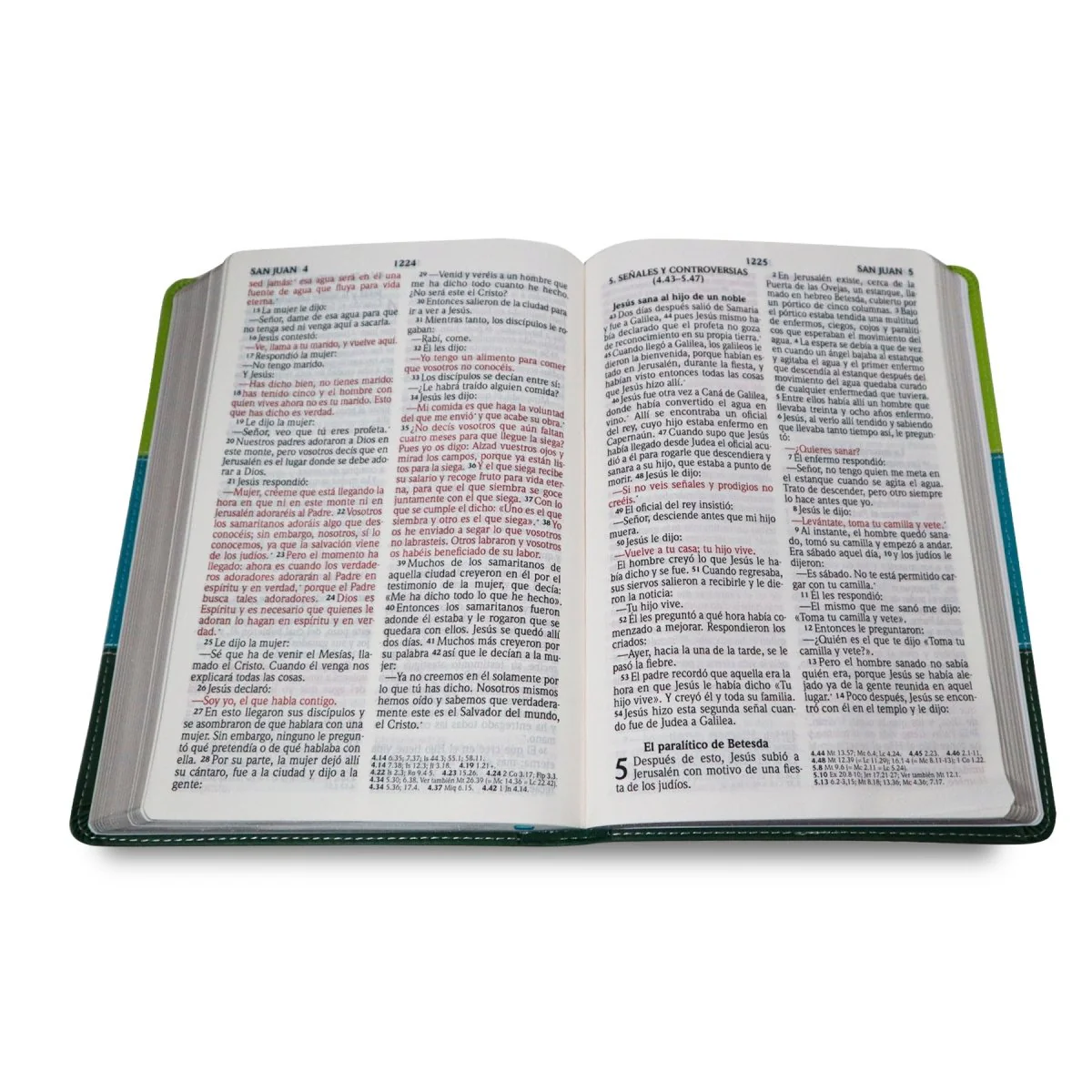 SANTA BIBLIA REINA VALERA 2020       (4 colores)